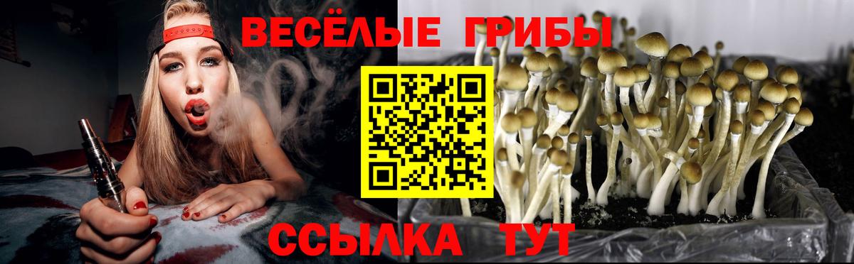 Псилоцибиновые грибы MAGIC MUSHROOMS  Вход с VPN  Галлюциногенные грибы Psilocybe  Котельники 